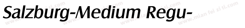 Salzburg-Medium Regu字体转换